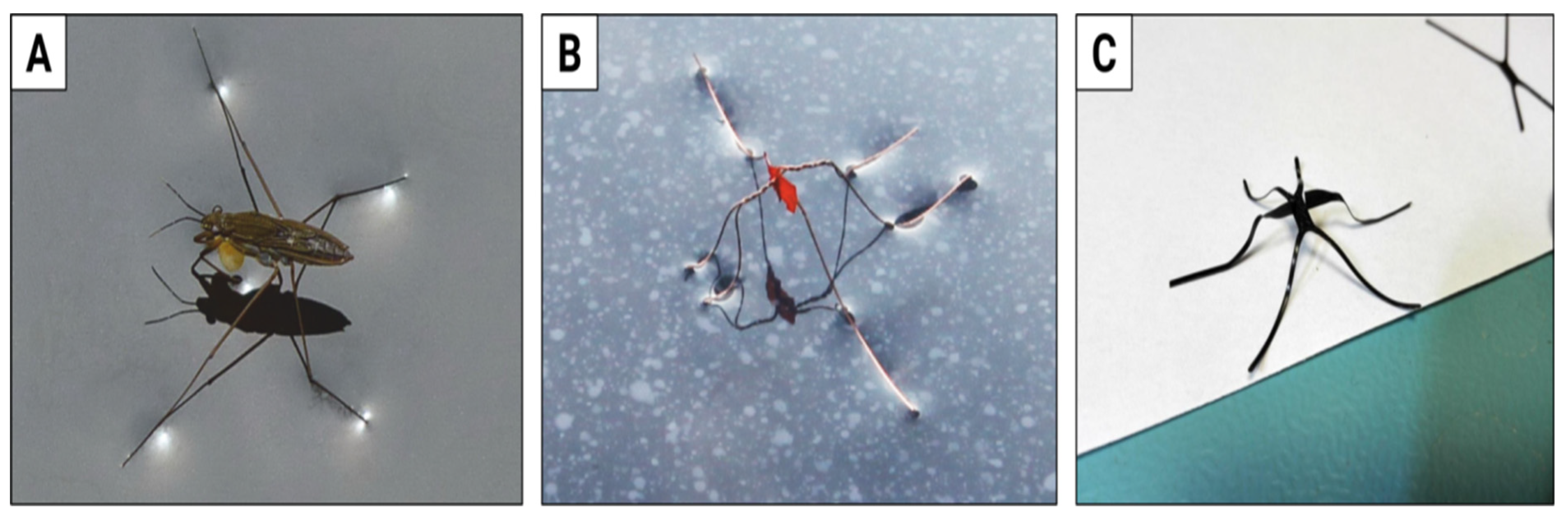 Materials 15 08214 g006