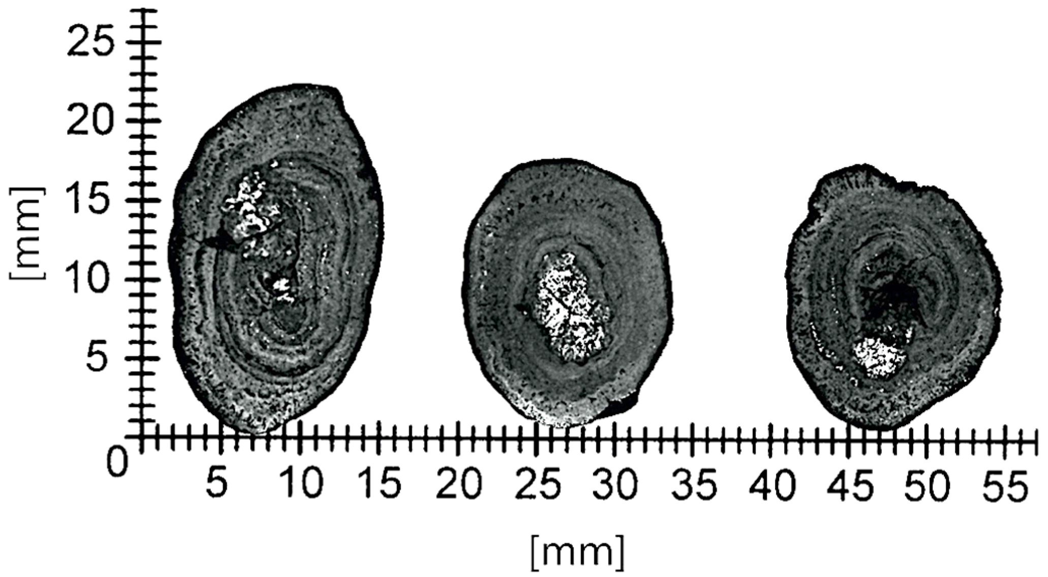 Materials 15 08228 g004