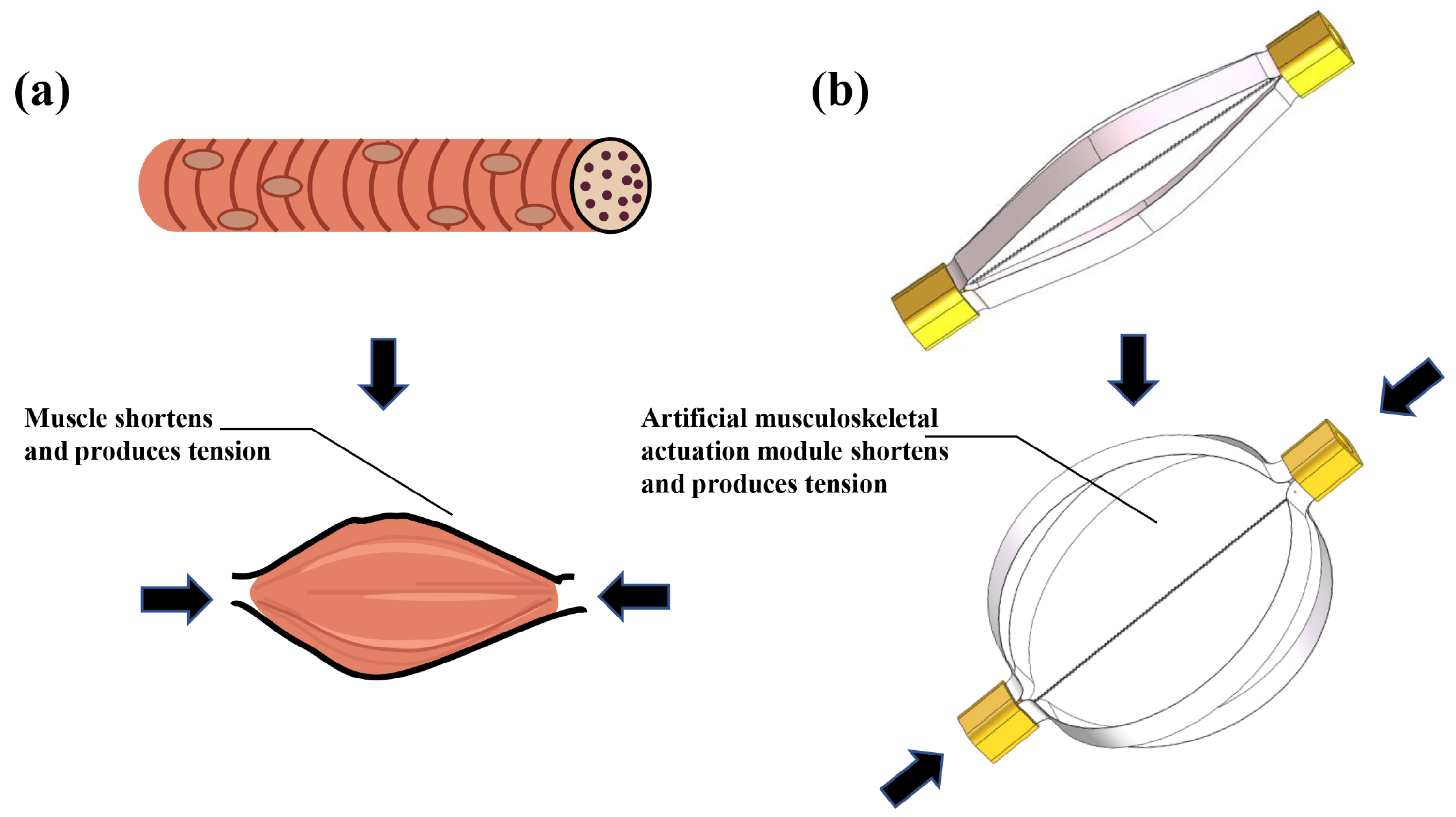 Materials 15 08261 g001 Materials 15 08261 g001