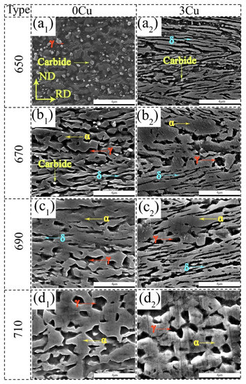 Microstructure Evolution and Mechanical Properties of Ferrite–Austenite ...