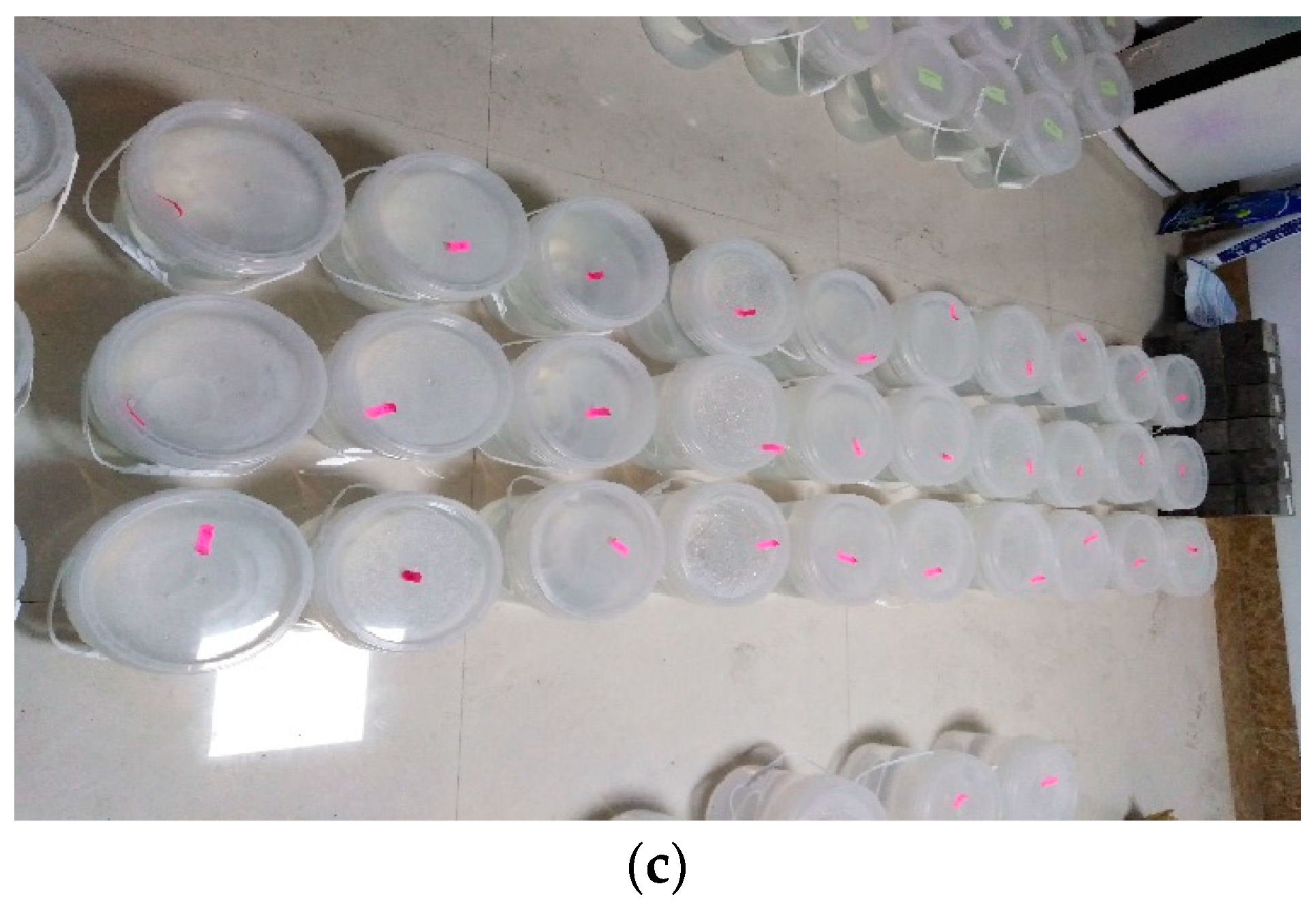 Materials 15 08277 g008b Materials 15 08277 g008b