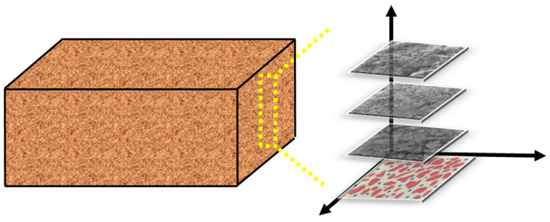 Study on Cracking Law of Earthen Soil under Dry Shrinkage Condition