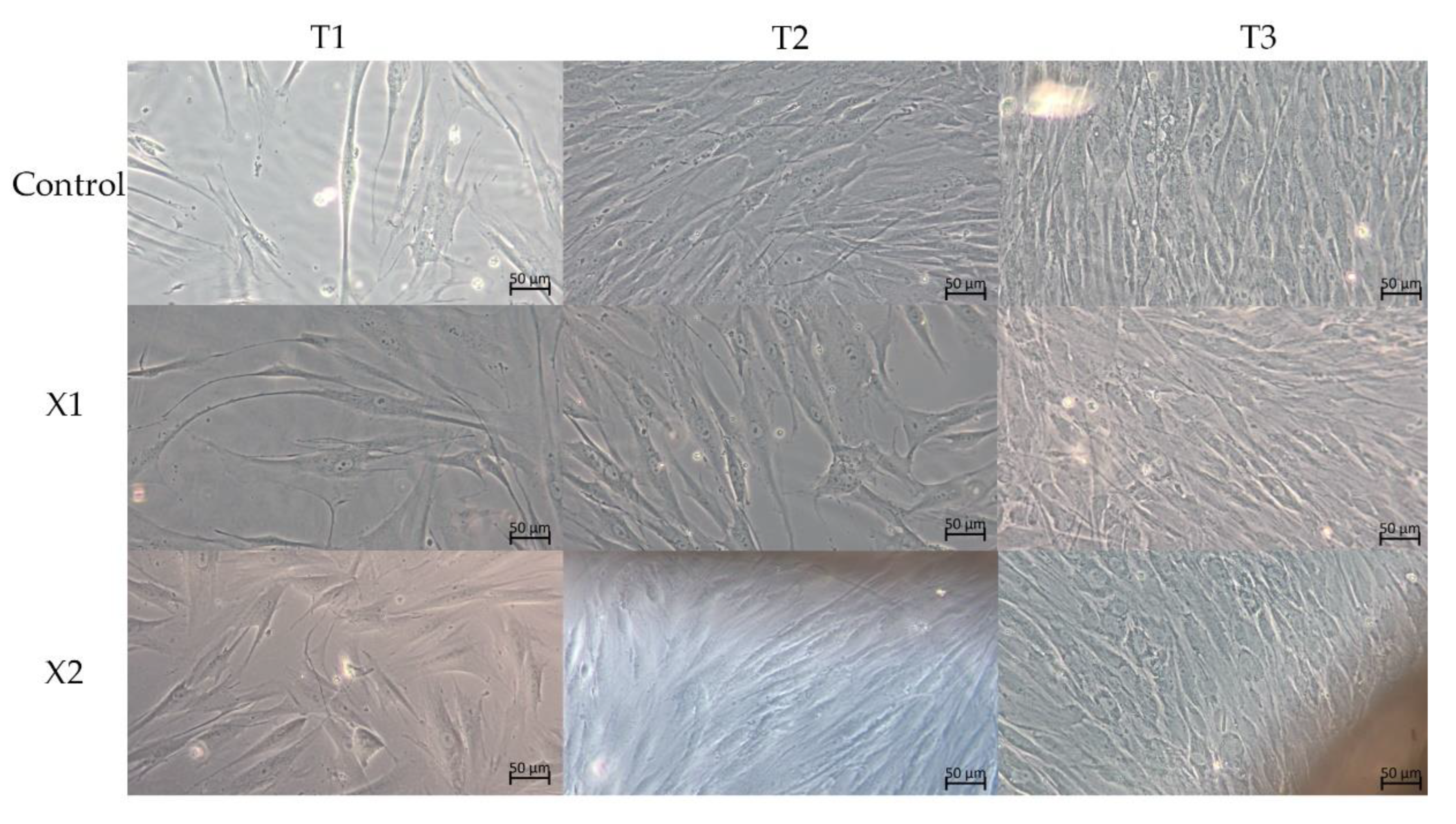 Materials 15 08284 g002