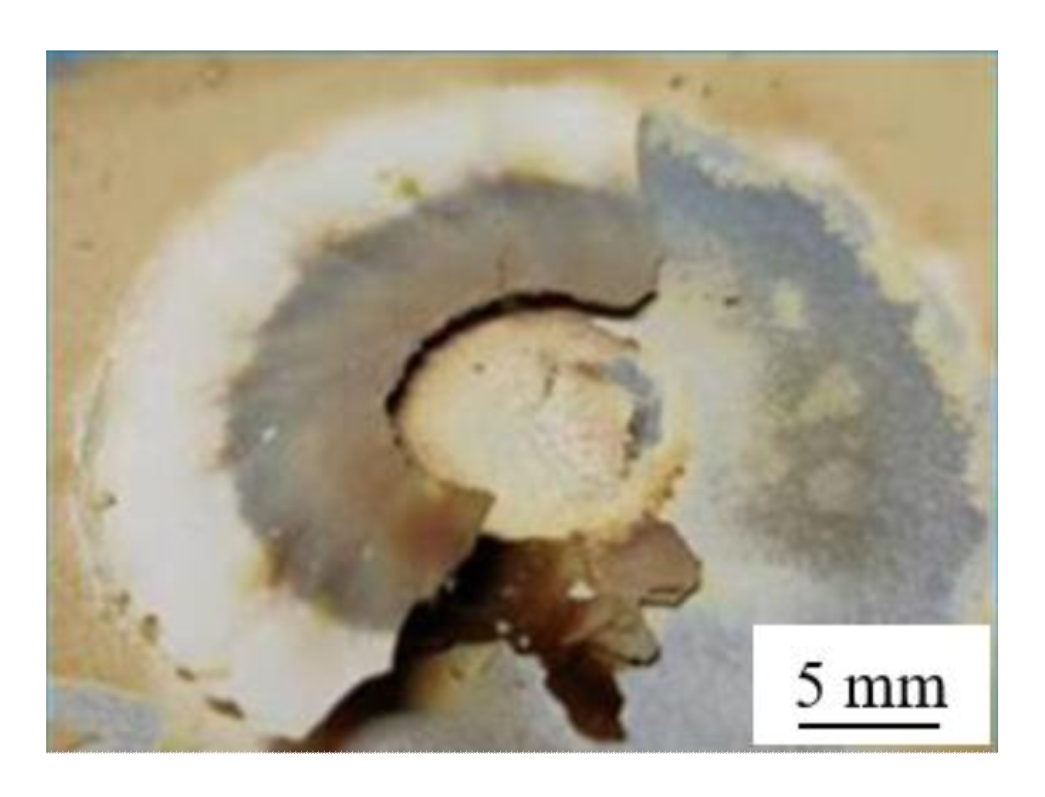 Materials 15 08292 g009 Materials 15 08292 g009