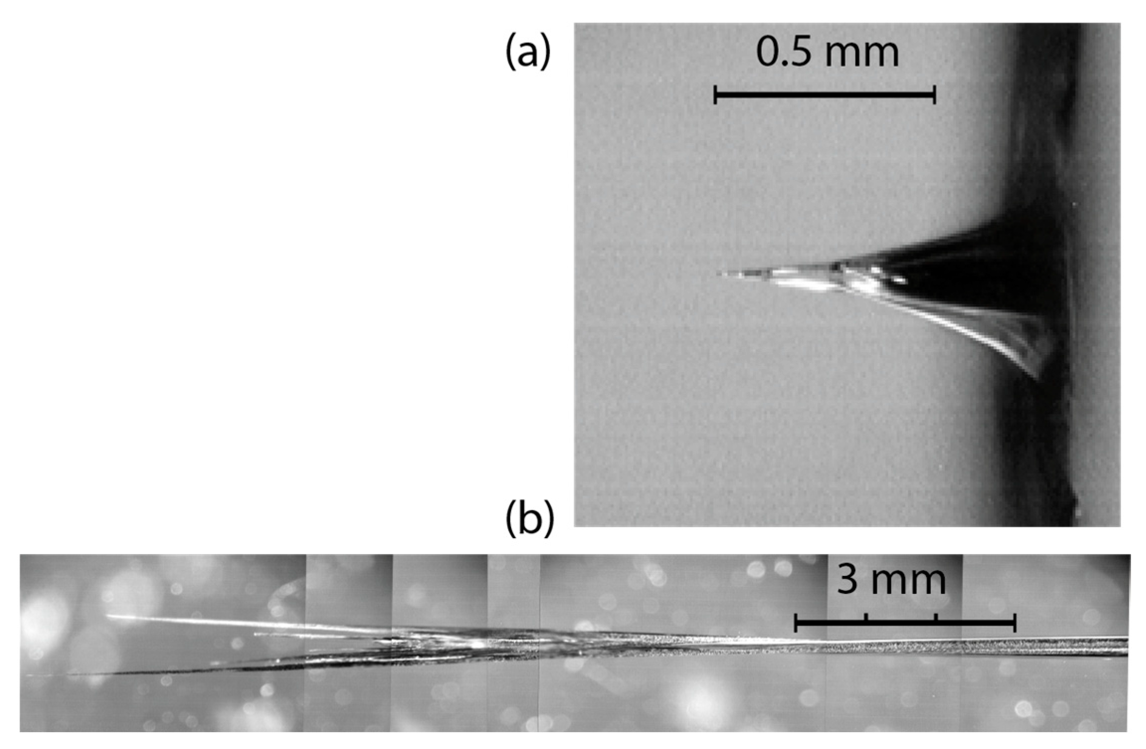 Materials 15 08347 g005 Materials 15 08347 g005