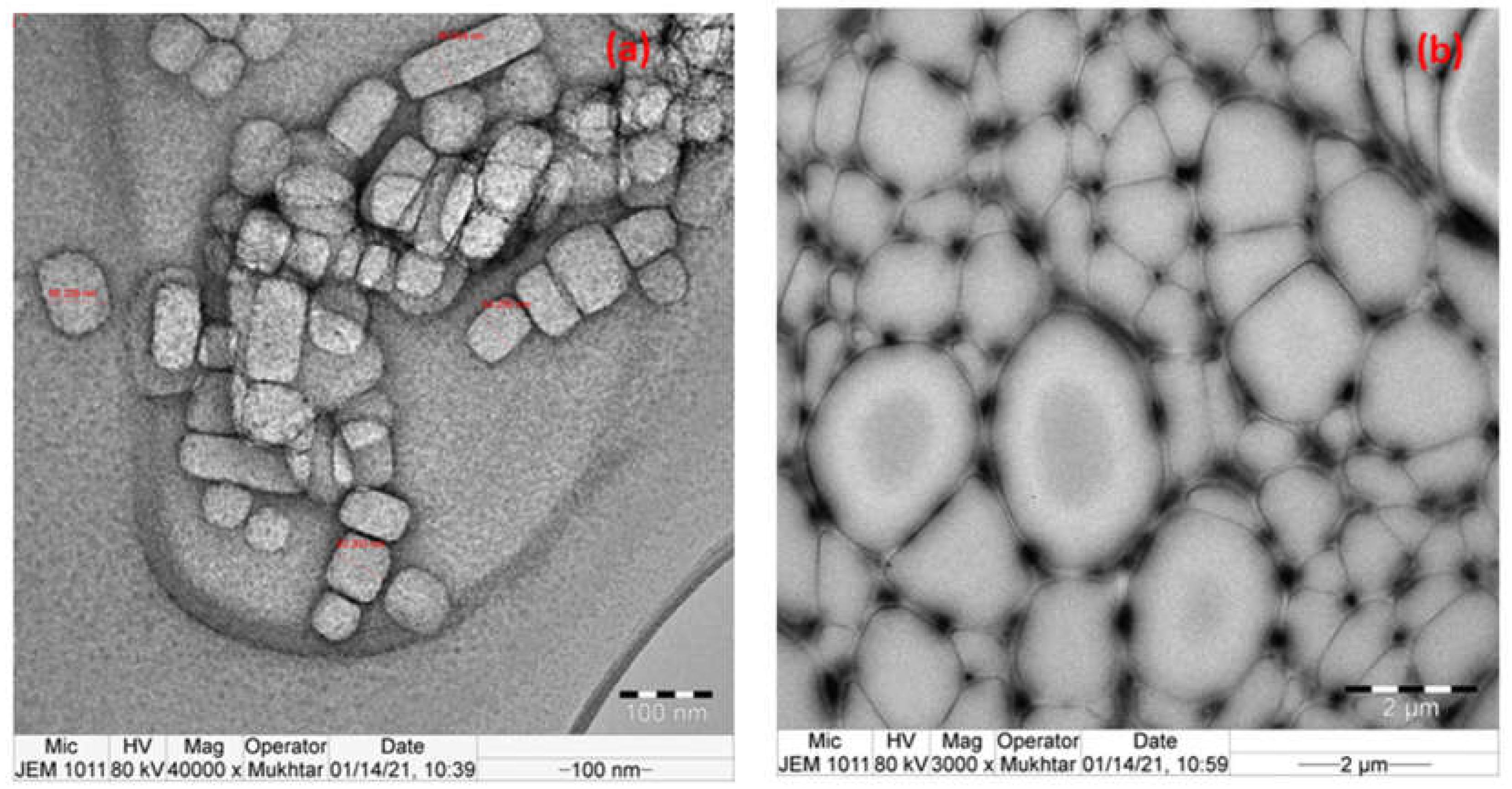 Materials 15 08374 g009