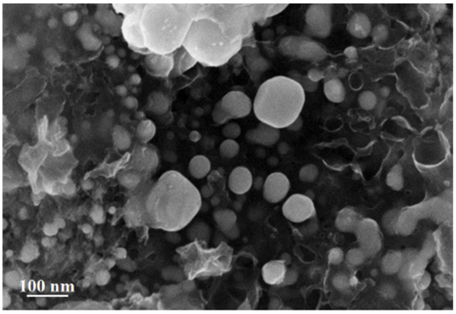 Materials 15 08376 g010 Materials 15 08376 g010