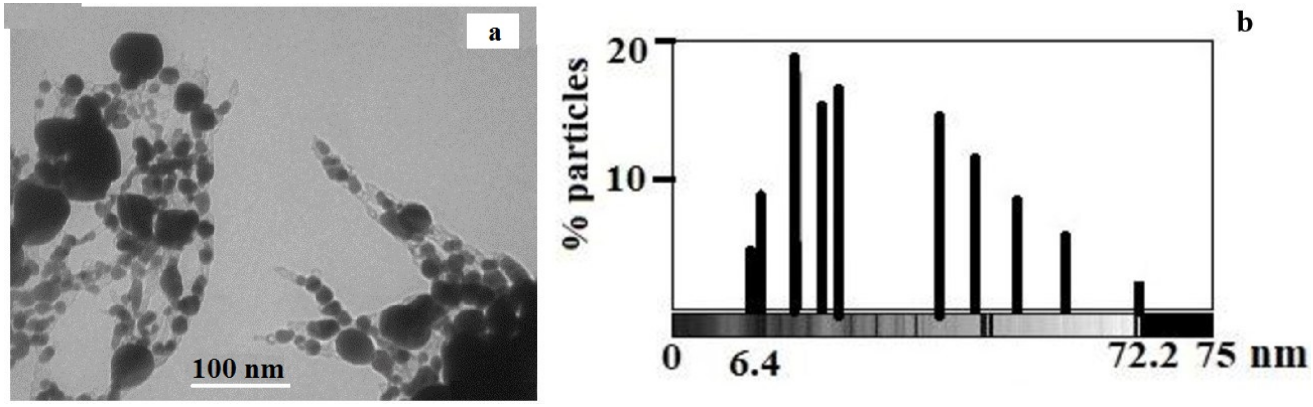 Materials 15 08376 g011 Materials 15 08376 g011