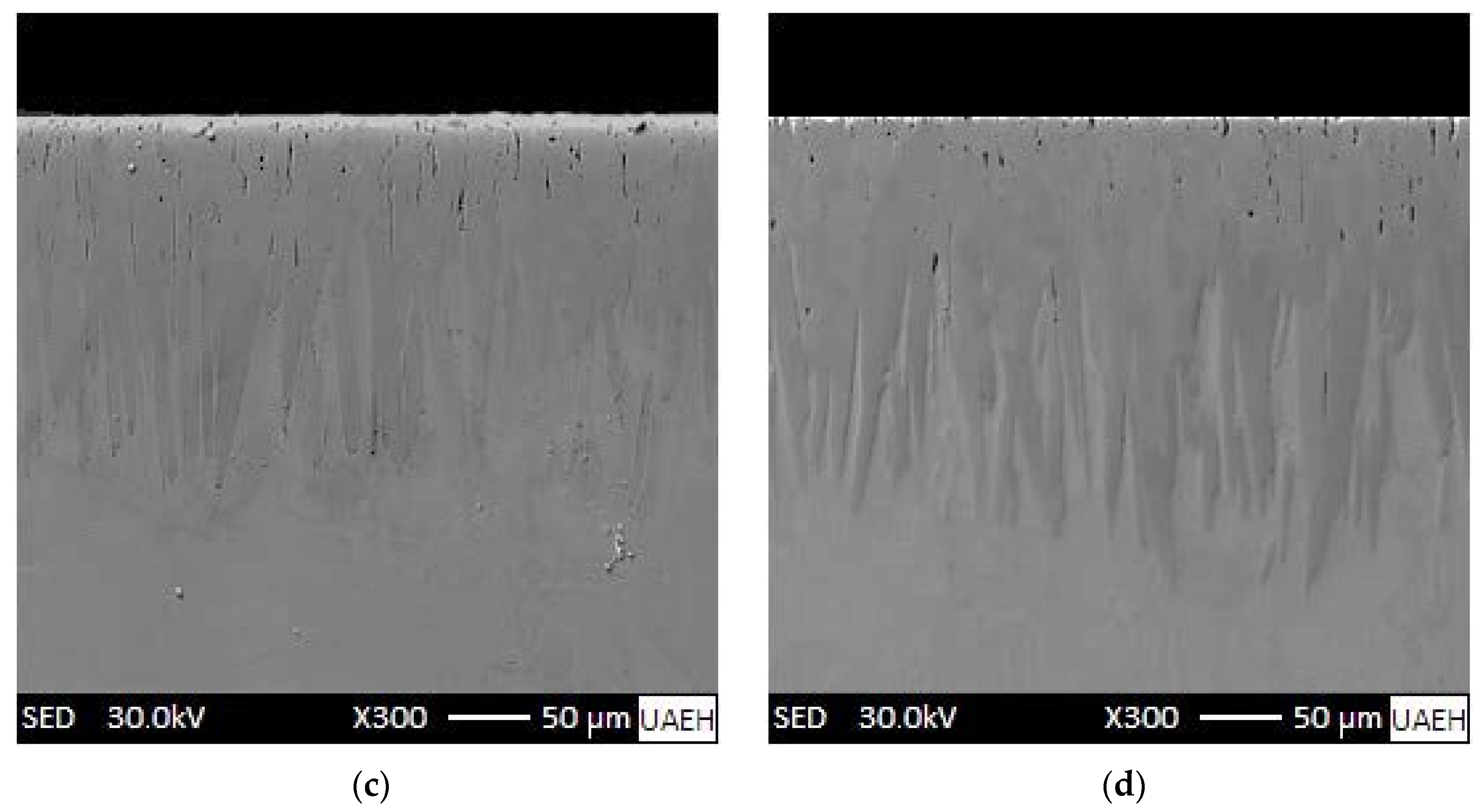 Materials 15 08420 g006b Materials 15 08420 g006b