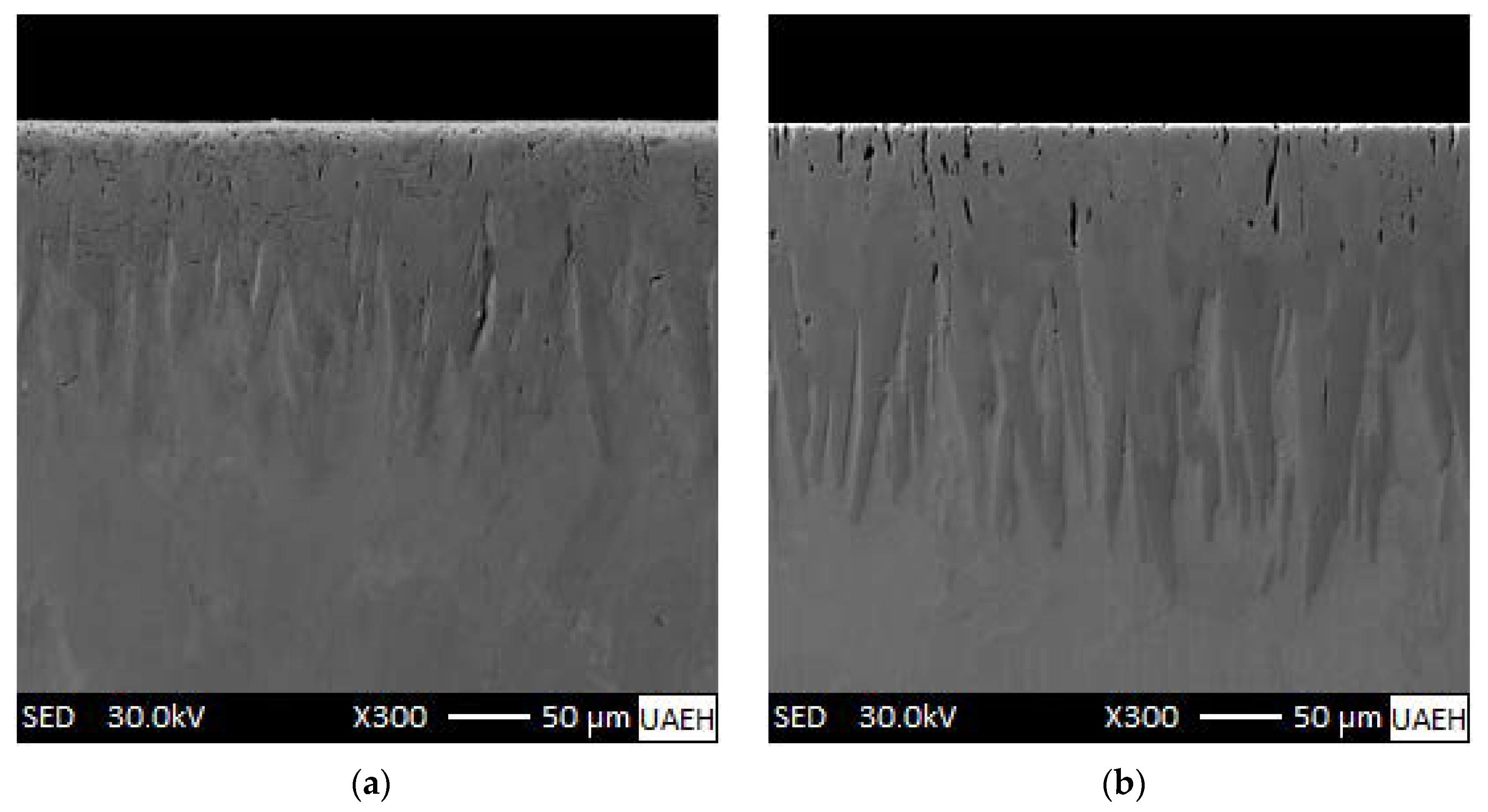 Materials 15 08420 g017 Materials 15 08420 g017