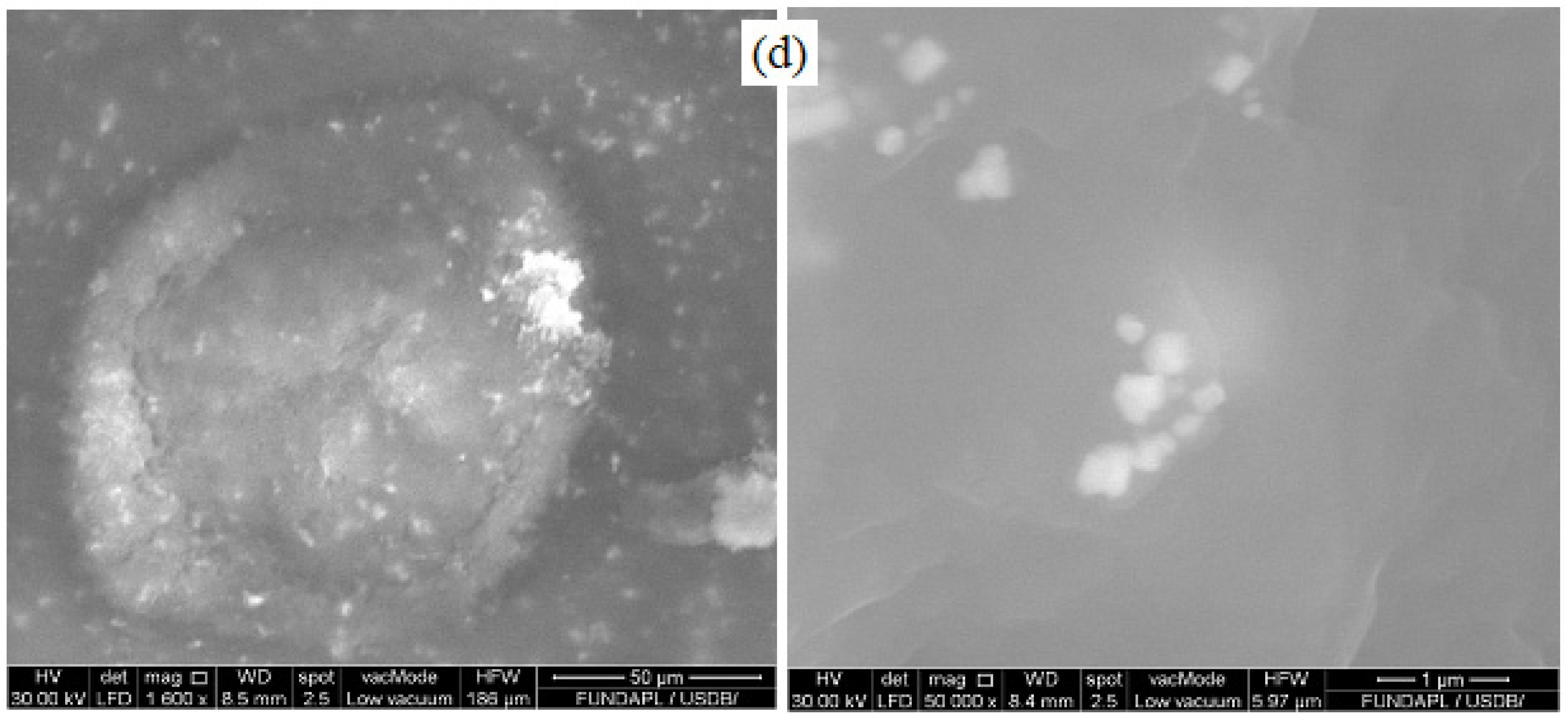 Materials 15 08453 g001b Materials 15 08453 g001b