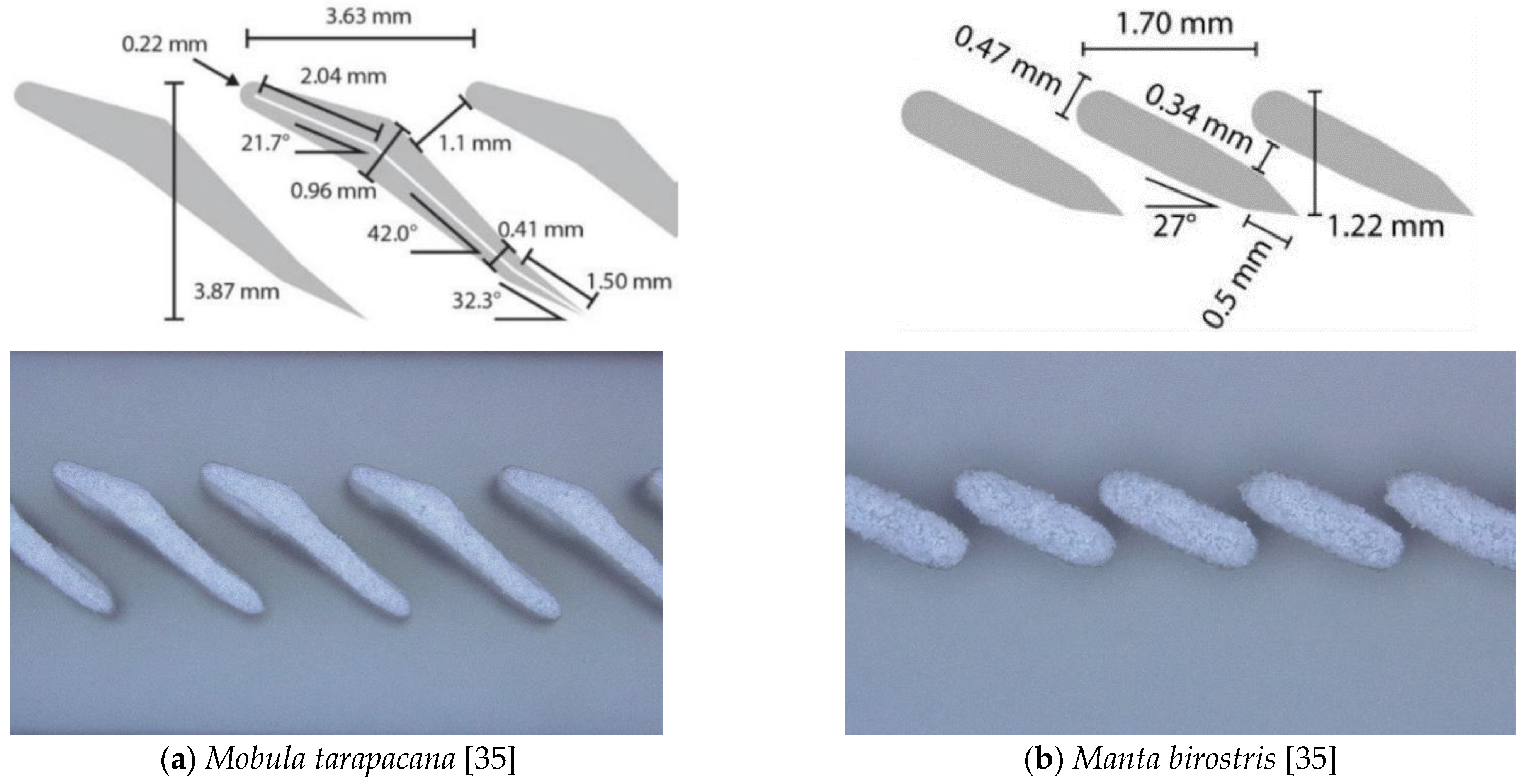 Materials 15 08454 g003 Materials 15 08454 g003