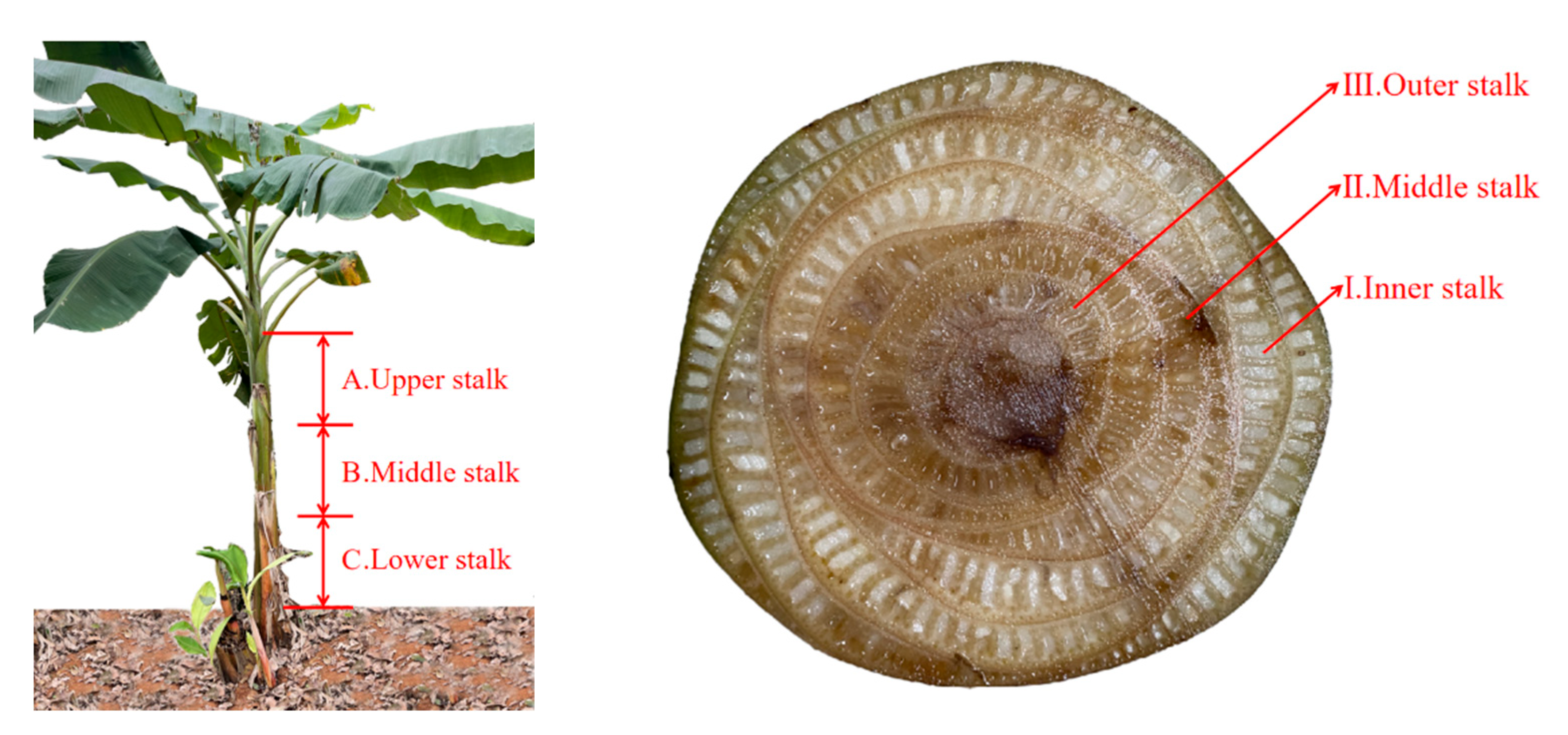 Materials 15 08462 g001