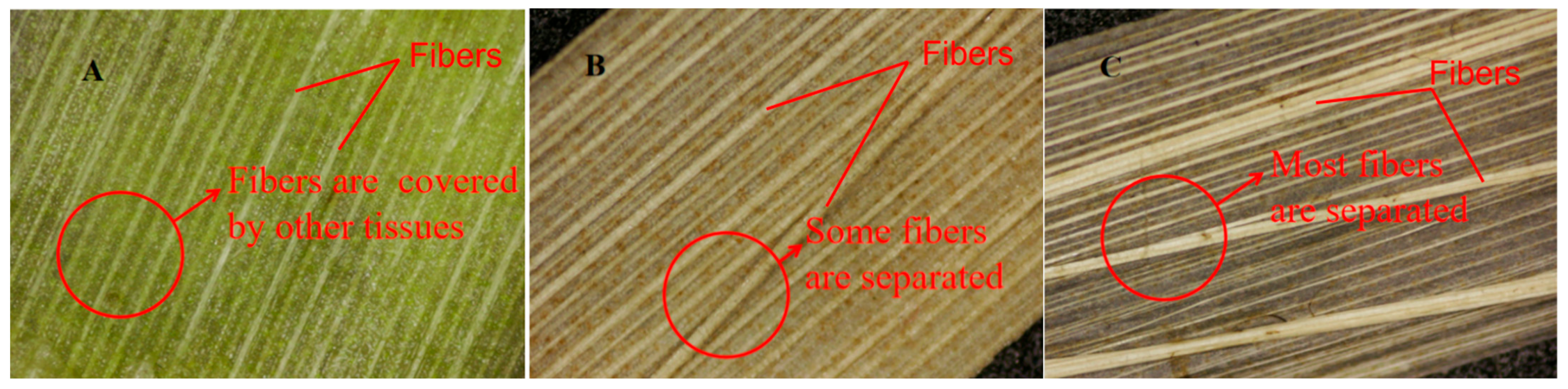 Materials 15 08462 g009