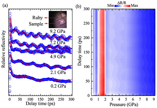 Pressure Evolution of Ultrafast Photocarrier Dynamics and Pressure Evolution of Ultrafast Photocarrier Dynamics and