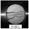 Materials 15 08473 i029