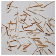 Materials 15 08487 i010