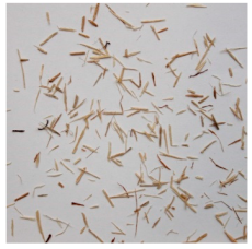 Materials 15 08487 i013