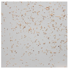 Materials 15 08487 i014