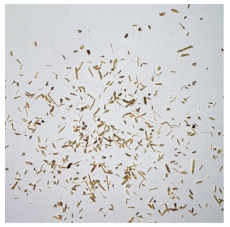 Materials 15 08487 i015