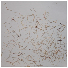 Materials 15 08487 i016