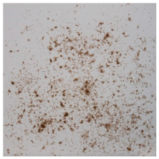 Materials 15 08487 i019