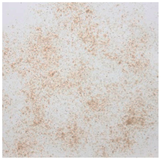 Materials 15 08487 i020