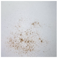 Materials 15 08487 i021