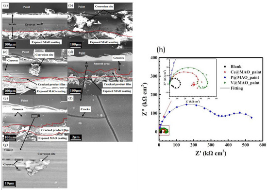 Chromate-Free Corrosion Protection Strategies for Magnesium
