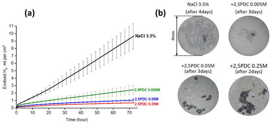 国内外の人気 Chromate-Free Corrosion Protection Strategies for Magnesium ウェア