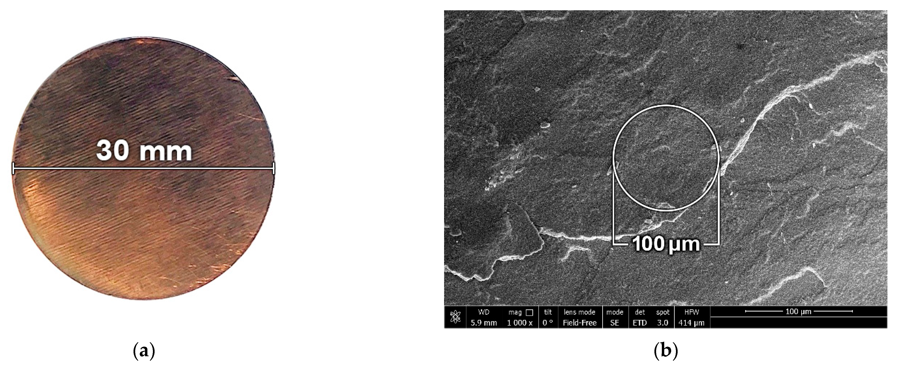 Materials 15 08501 g001a Materials 15 08501 g001a