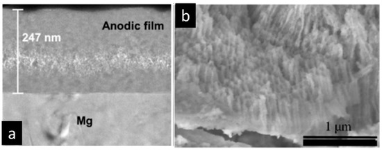 Chromate-Free Corrosion Protection Strategies for Magnesium