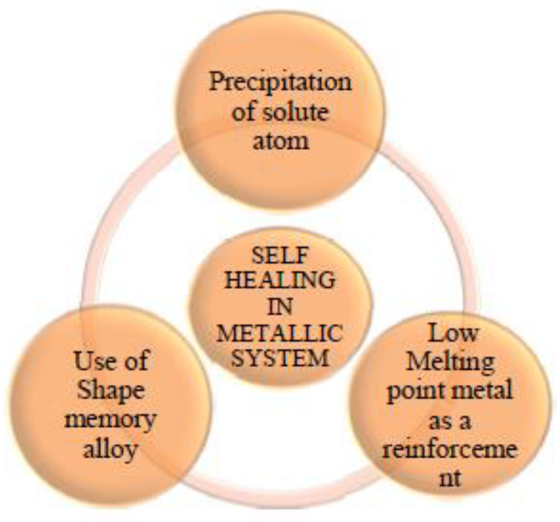 Materials 15 08521 g010