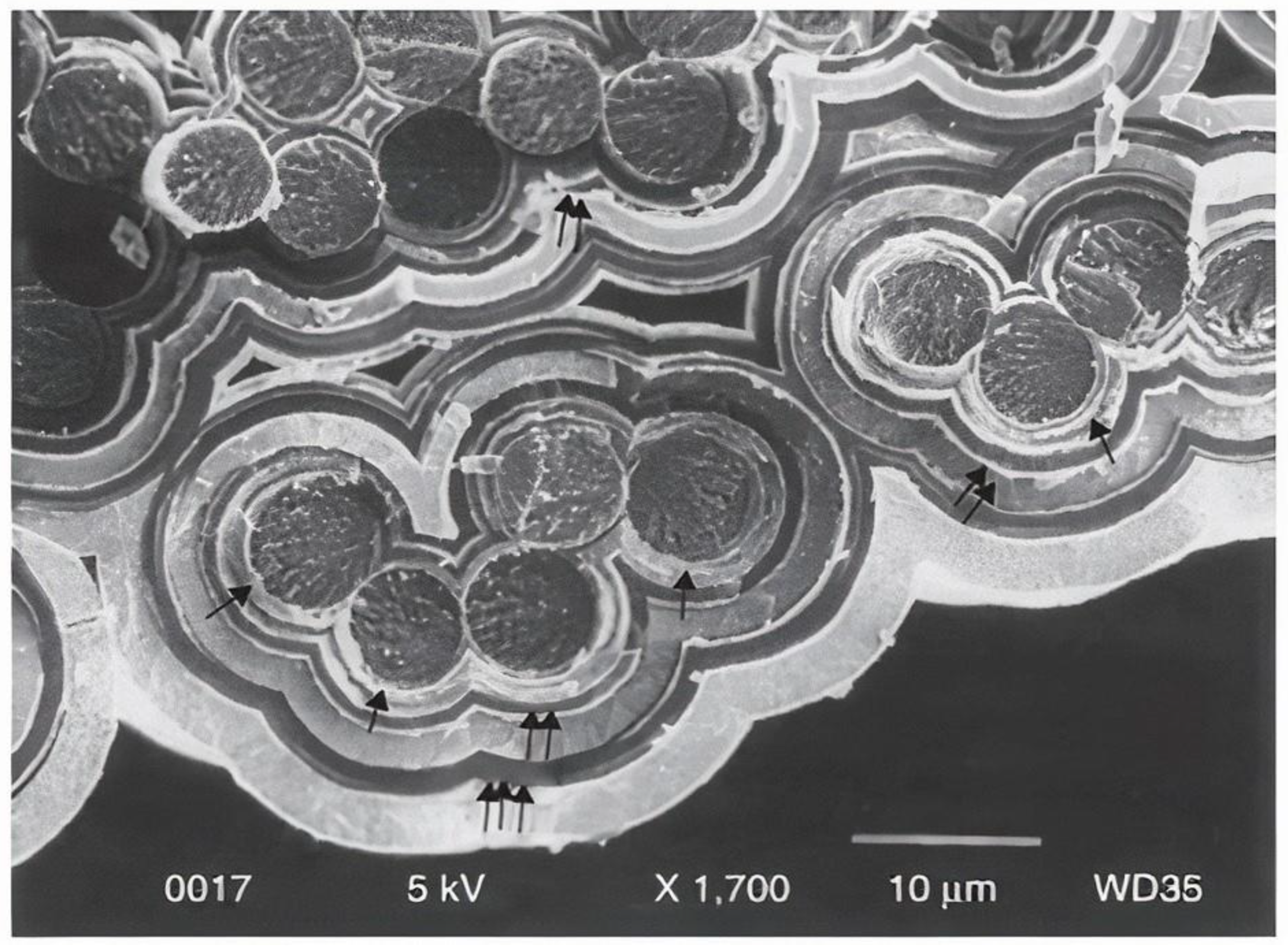 Materials 15 08521 g013