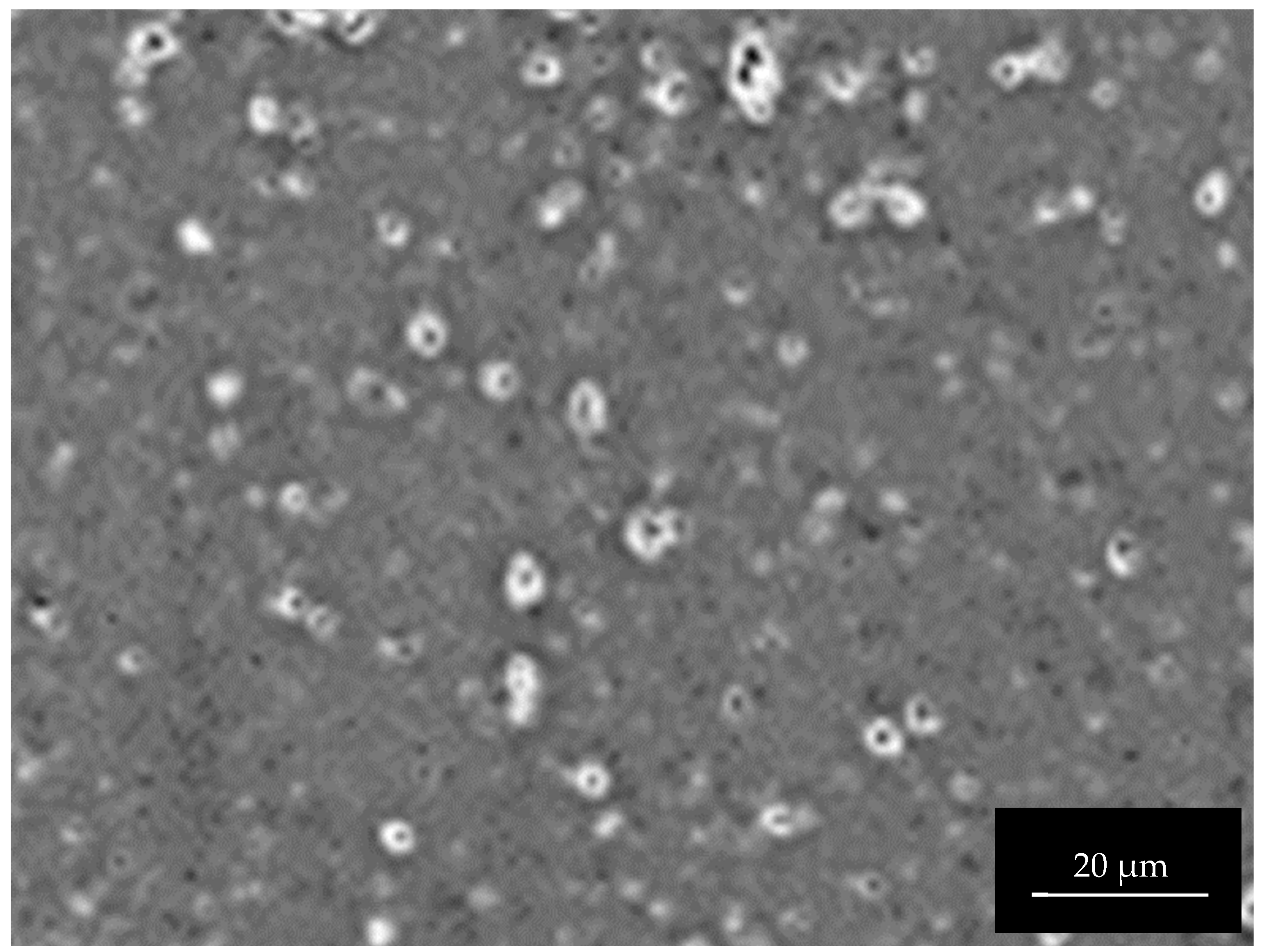 Materials 15 08544 g0a2