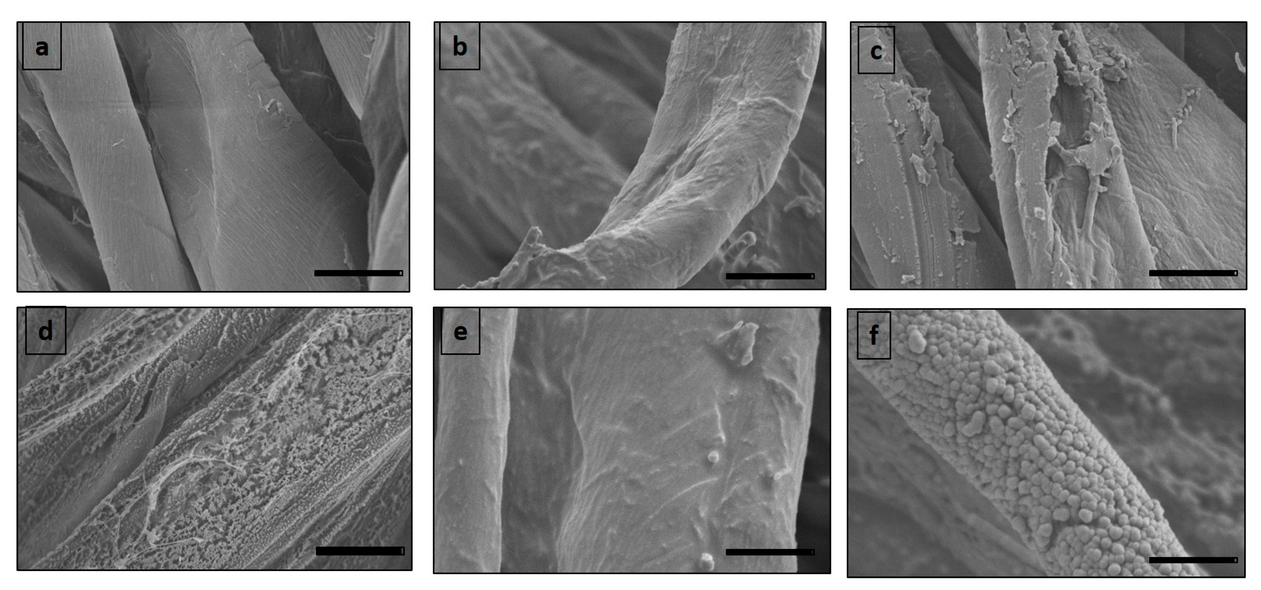 Materials 15 08551 g004 Materials 15 08551 g004