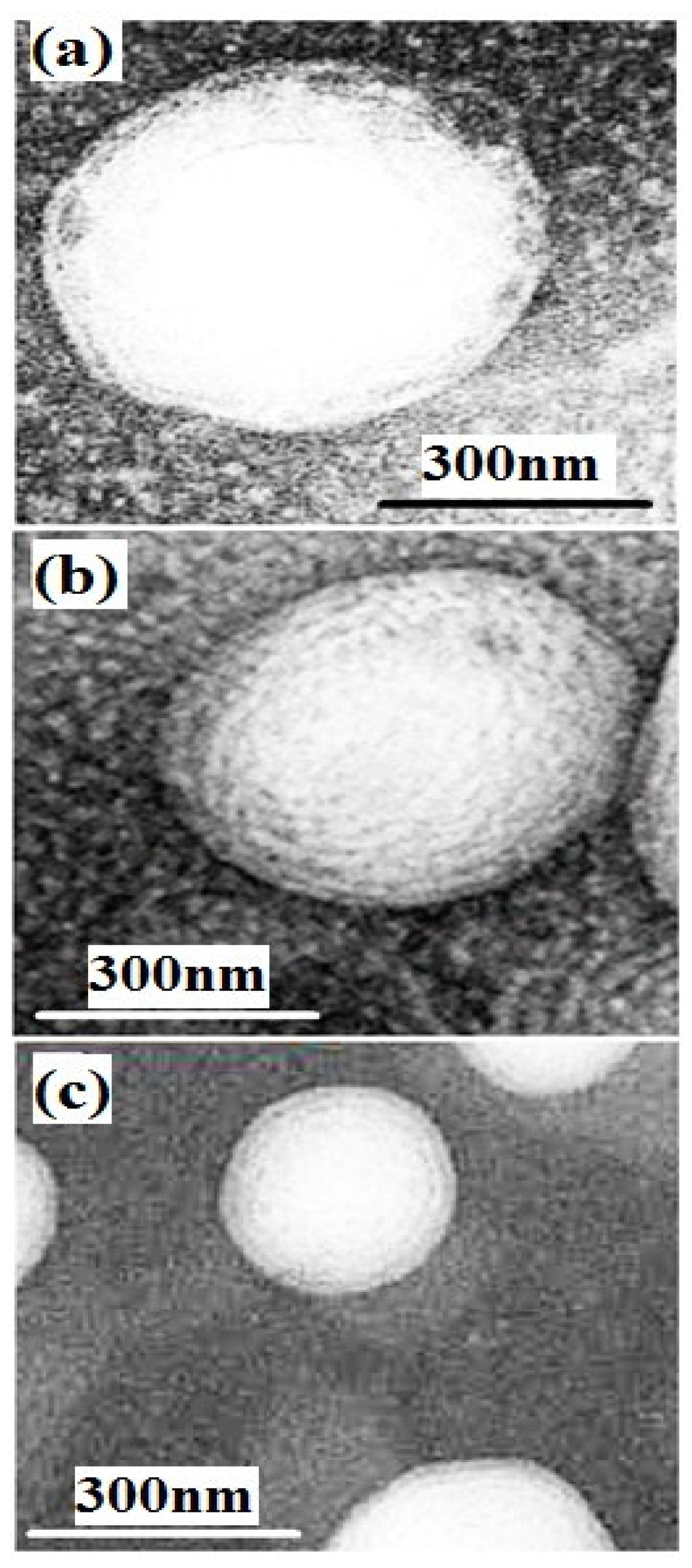 Materials 15 08581 g001 Materials 15 08581 g001