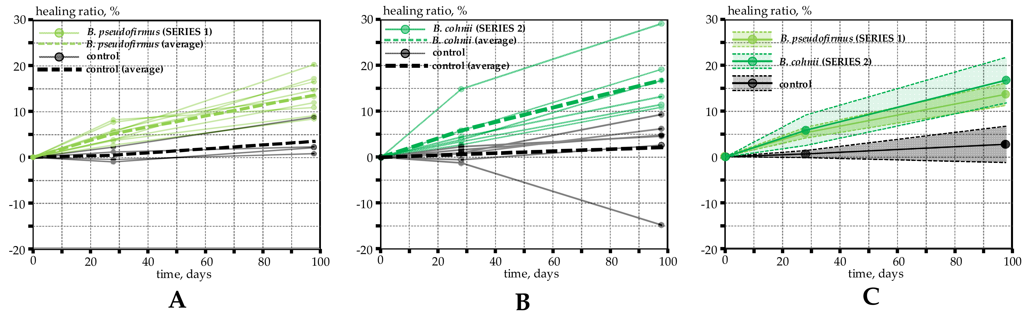 Materials 15 08585 g003 Materials 15 08585 g003