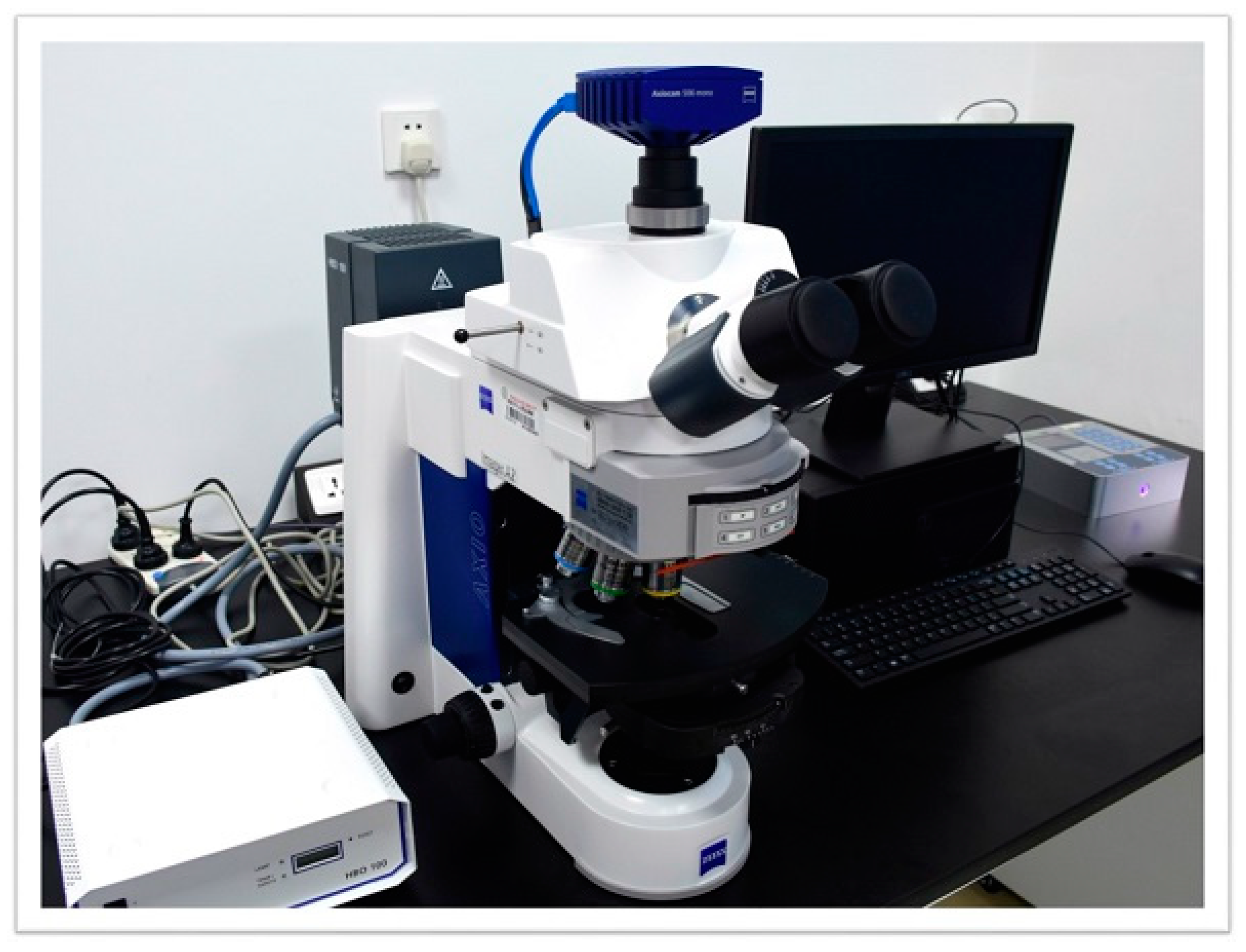 Materials 15 08616 g008