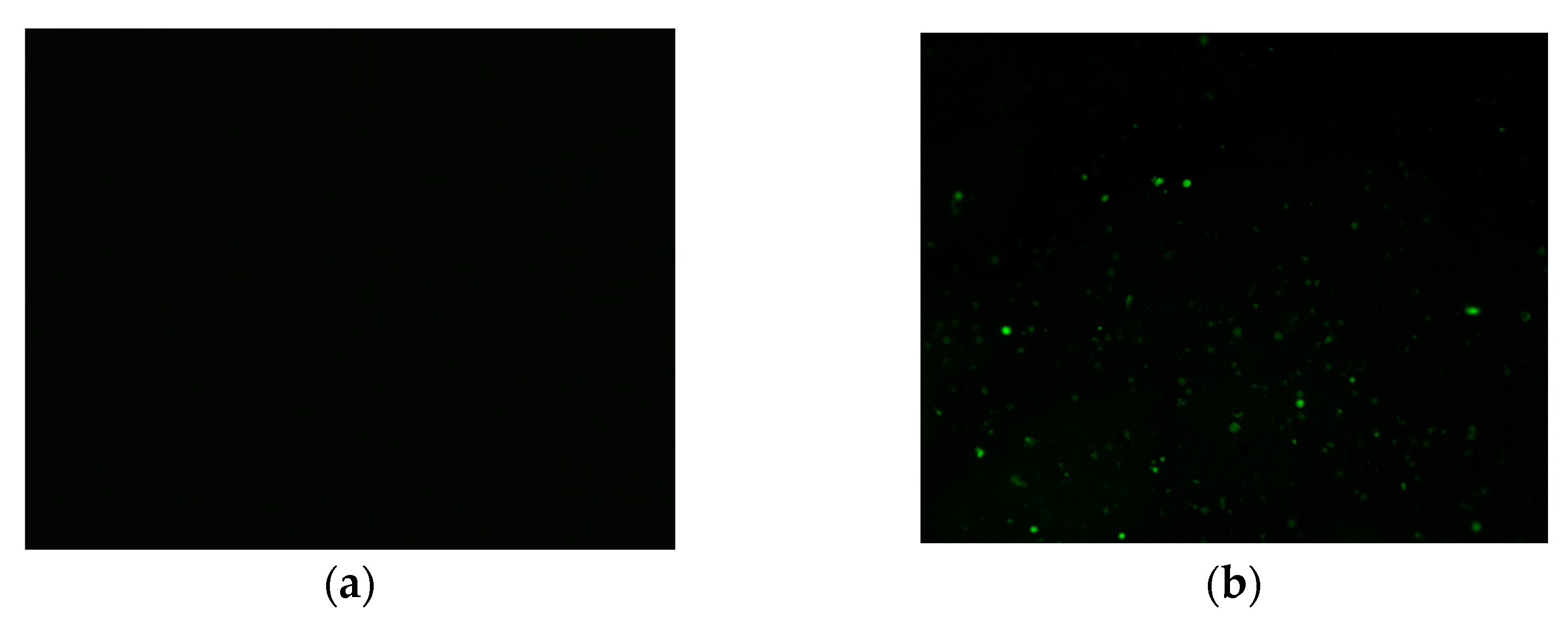 Materials 15 08616 g018a