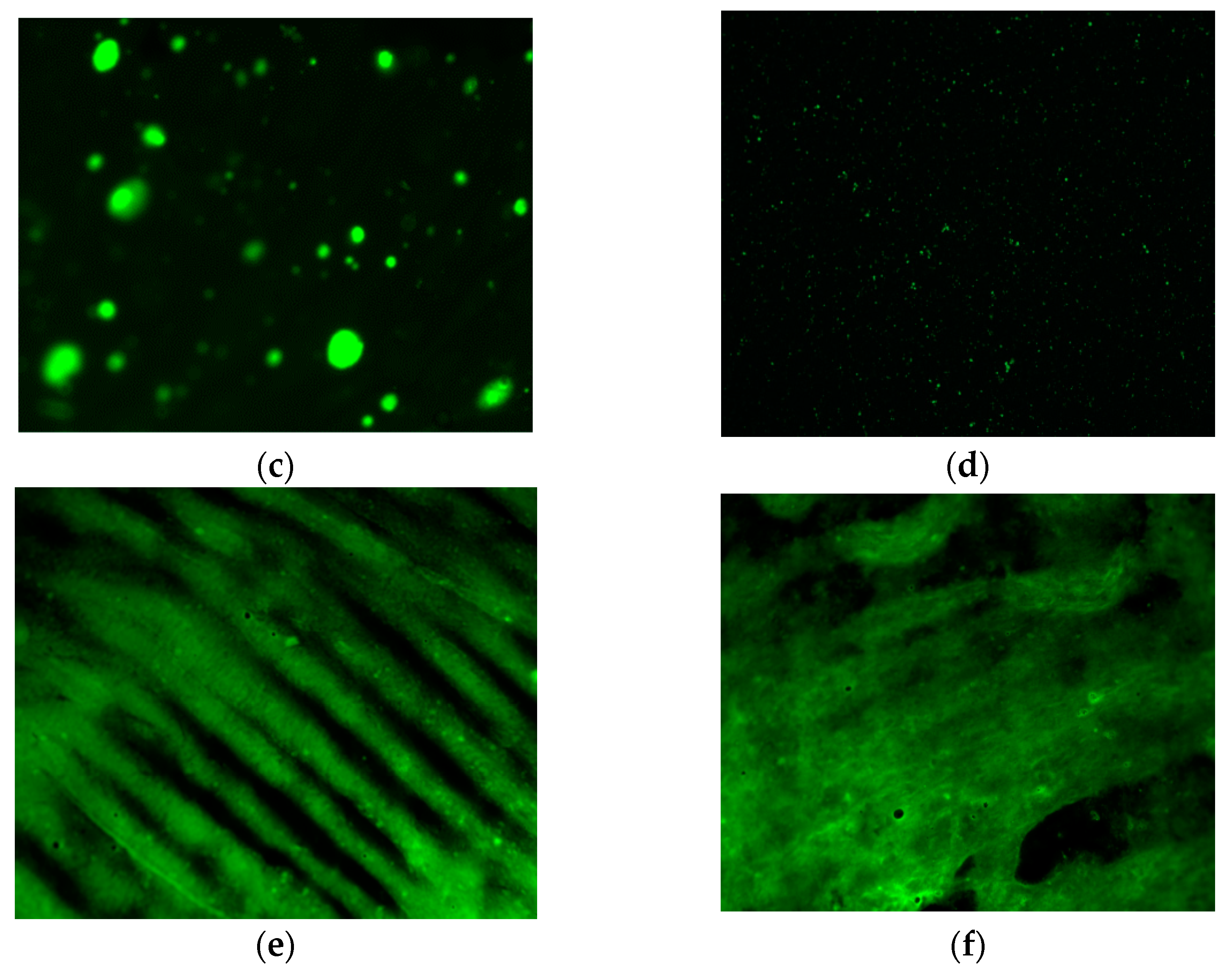 Materials 15 08616 g018b