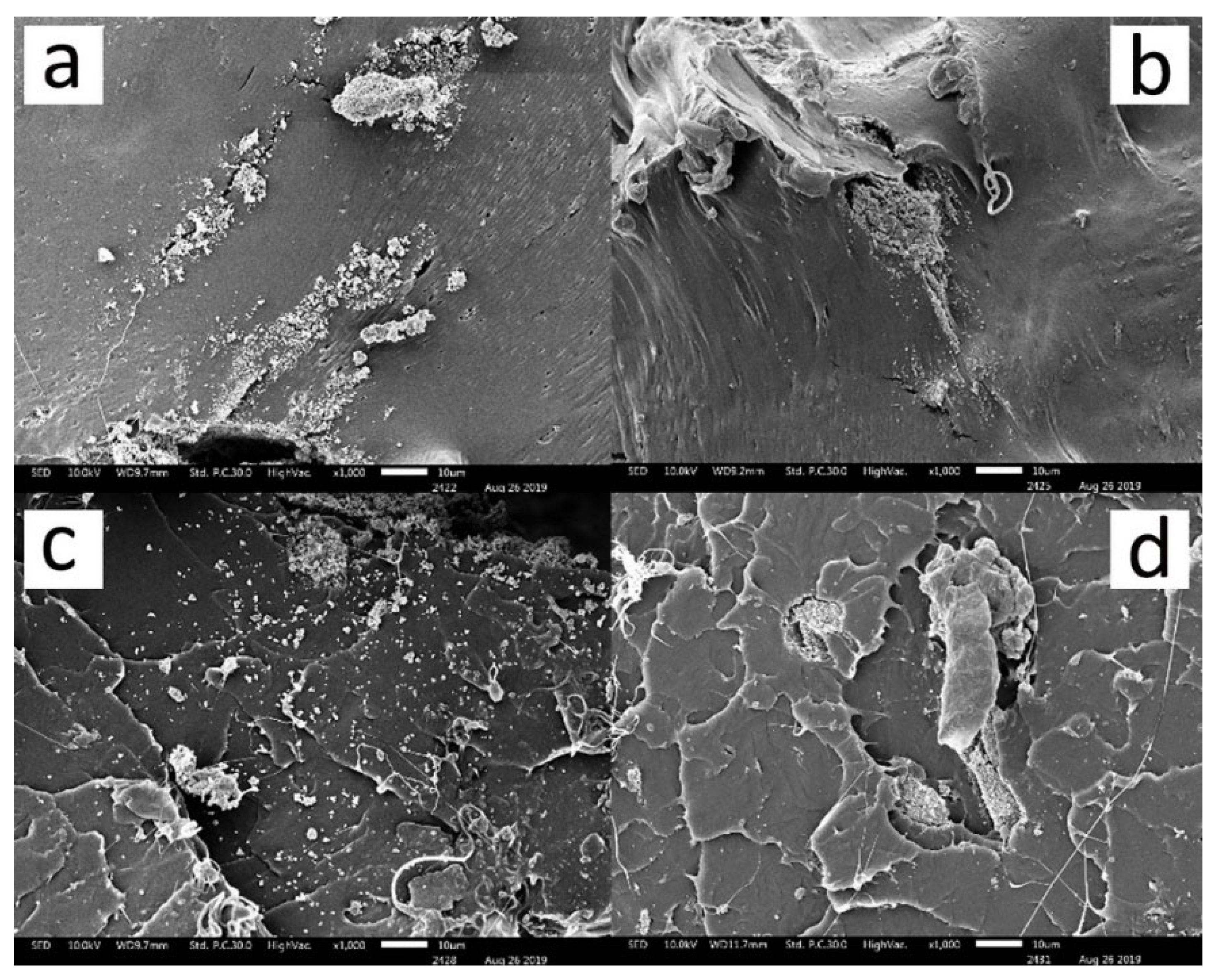 Materials 15 08618 g001