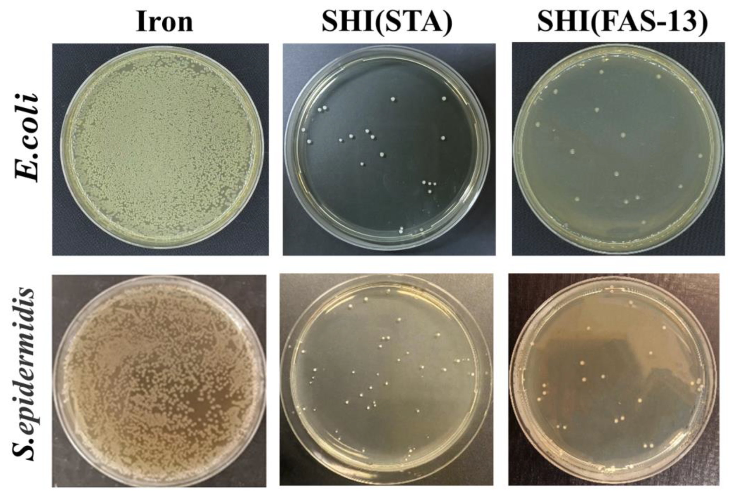 Materials 15 08634 g008 Materials 15 08634 g008