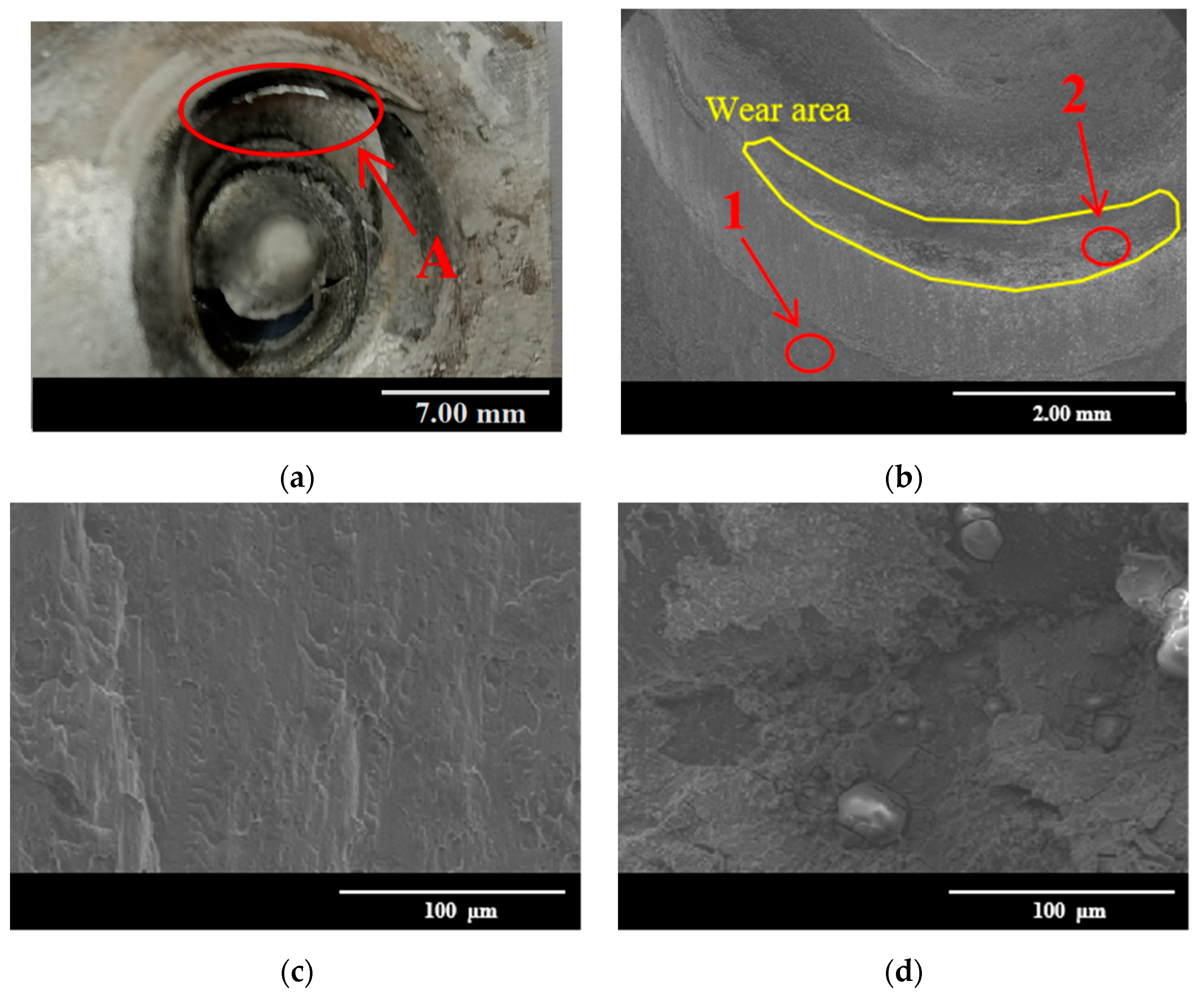 Materials 15 08643 g008 Materials 15 08643 g008