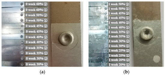 Insight of Salt Spray Corrosion on Mechanical Properties of