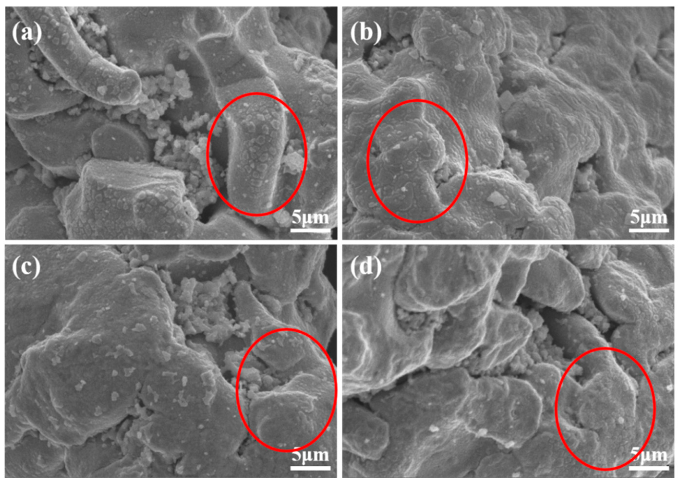 Materials 15 08660 g007 Materials 15 08660 g007