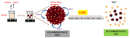 intracellular glutathione detection using mno2-nanosheet-modified Glutathione Fluorescence Sensing Based on a Co-Doped Carbon Dot/Manganese  Dioxide Nanocoral Composite