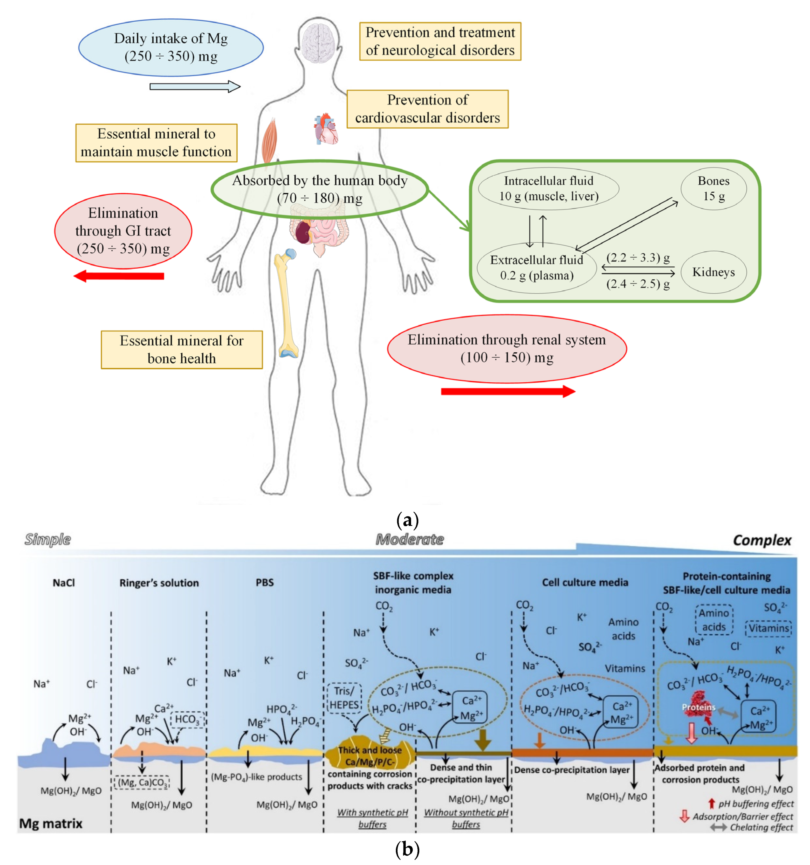 Materials 15 08693 g002 Materials 15 08693 g002