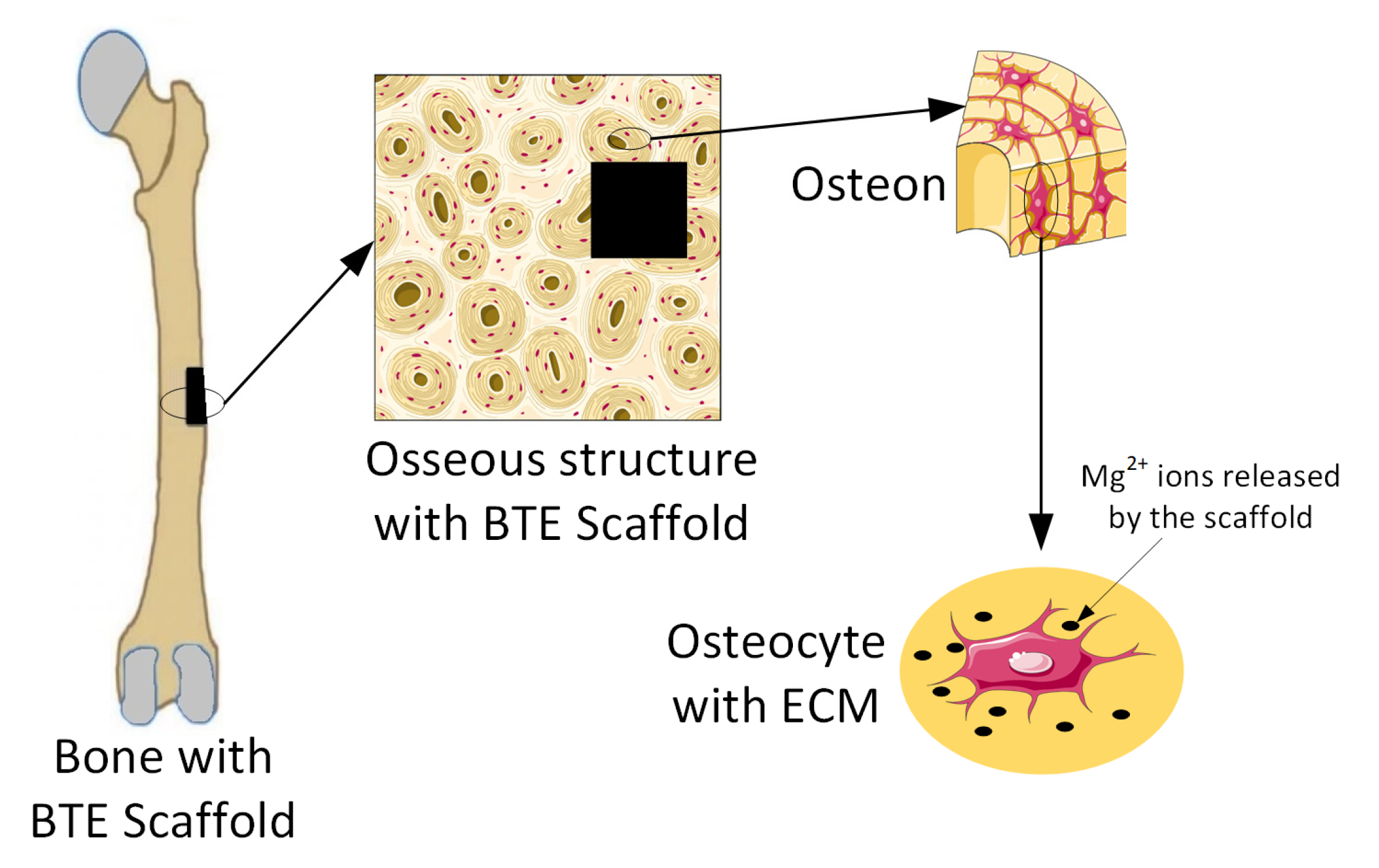 Materials 15 08693 g003 Materials 15 08693 g003