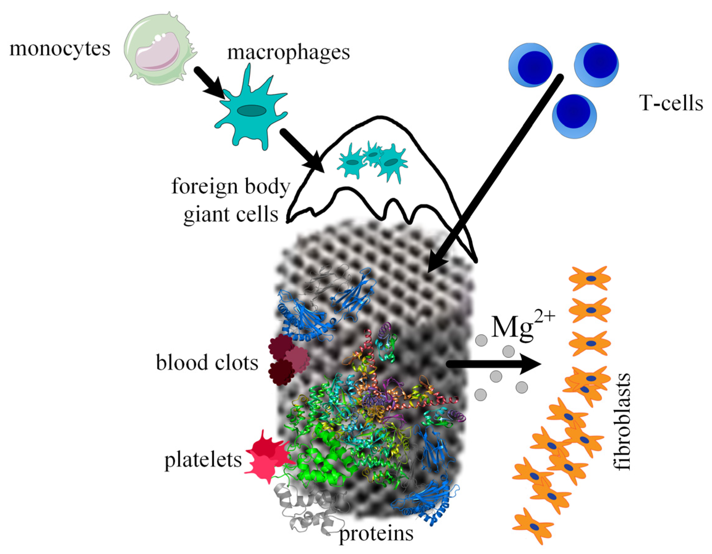 Materials 15 08693 g009 Materials 15 08693 g009